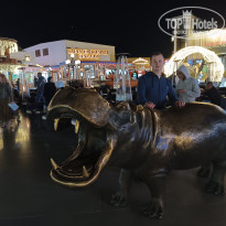 фото из отзыва ID 2669088