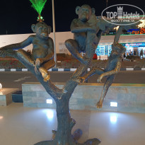 фото из отзыва ID 2669088