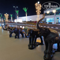 фото из отзыва ID 2669088