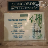 фото из отзыва ID 2669088