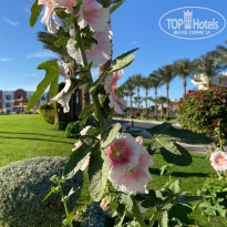 фото из отзыва ID 2669114