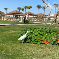 фото из отзыва ID 2669114