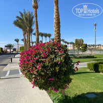 фото из отзыва ID 2669114