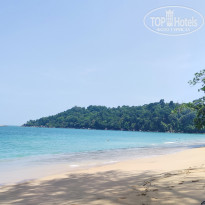 фото из отзыва ID 2669133