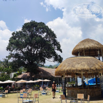 фото из отзыва ID 2669133