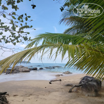 фото из отзыва ID 2669133