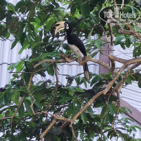 фото из отзыва ID 2669133