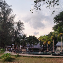 фото из отзыва ID 2669133