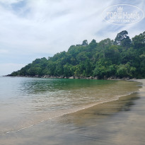 фото из отзыва ID 2669133