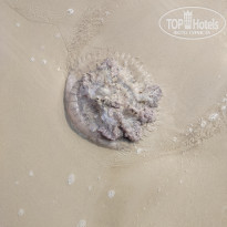 фото из отзыва ID 2669133