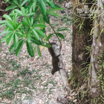 фото из отзыва ID 2669133