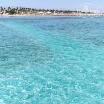 фото из отзыва ID 2669135