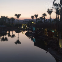 фото из отзыва ID 2669135