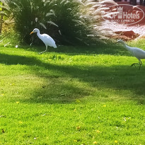 фото из отзыва ID 2669135