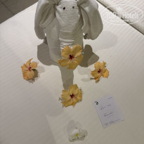 фото из отзыва ID 2669159