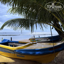 фото из отзыва ID 2669159