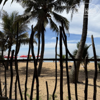 фото из отзыва ID 2669159