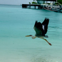 фото из отзыва ID 2669166