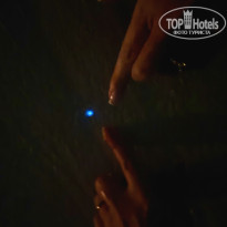 фото из отзыва ID 2669166