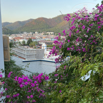 фото из отзыва ID 2669172