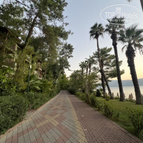 фото из отзыва ID 2669172