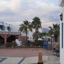 фото из отзыва ID 2669169