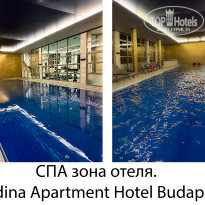 фото из отзыва ID 2669165