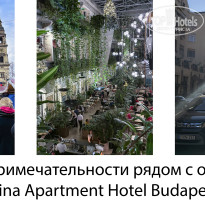 фото из отзыва ID 2669165