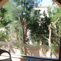 фото из отзыва ID 2669224