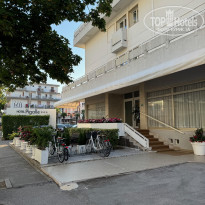 фото из отзыва ID 2669229