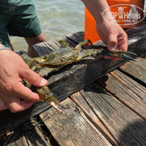 фото из отзыва ID 2669229