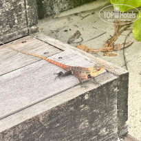 фото из отзыва ID 2669234