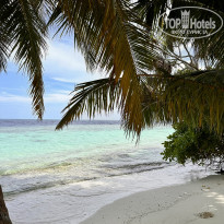 фото из отзыва ID 2669234