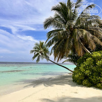 фото из отзыва ID 2669234