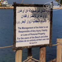 фото из отзыва ID 2669040