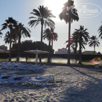 фото из отзыва ID 2669040