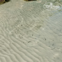 фото из отзыва ID 2669040