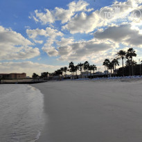 фото из отзыва ID 2669040