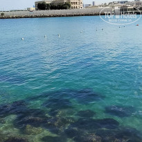 фото из отзыва ID 2669040