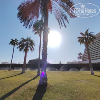 фото из отзыва ID 2669040