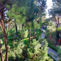 фото из отзыва ID 2666720