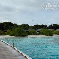 фото из отзыва ID 2669239