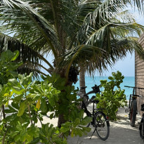 фото из отзыва ID 2669239