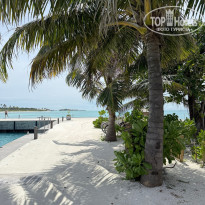 фото из отзыва ID 2669239