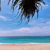 фото из отзыва ID 2669240