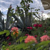 фото из отзыва ID 2669275