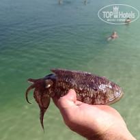 фото из отзыва ID 2669278