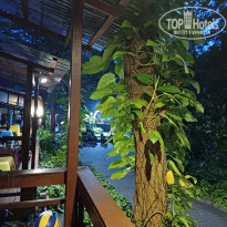 фото из отзыва ID 2669318