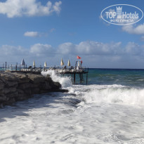 фото из отзыва ID 2669328