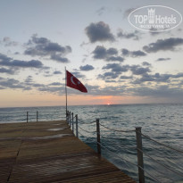 фото из отзыва ID 2669328